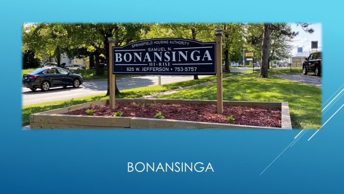 Image of Bonansinga